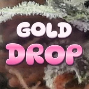 Gold Drop Cannabis Strain