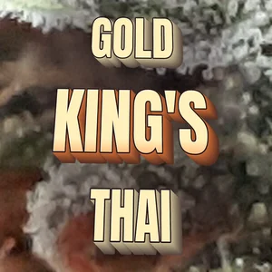 Gold King's Thai Cannabis Strain