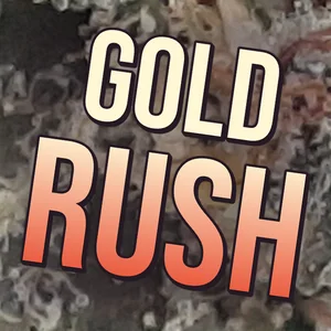 Gold Rush Cannabis Strain