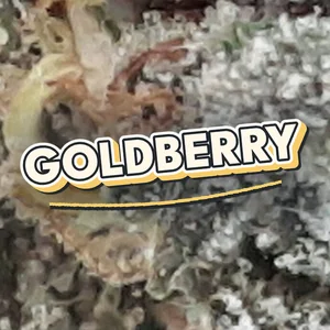 Goldberry Cannabis Strain