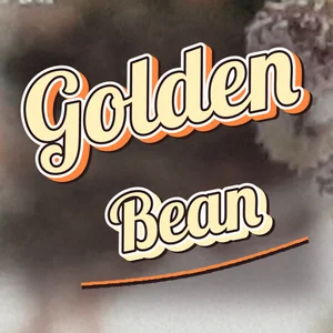 Golden Bean Cannabis Strain
