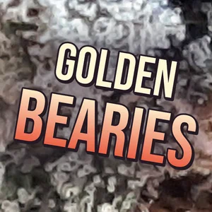 Golden Bearies Cannabis Strain