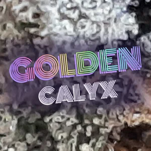 Golden Calyx Cannabis Strain