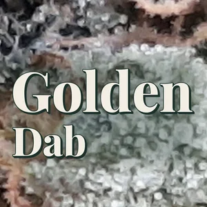 Golden Dab Cannabis Strain
