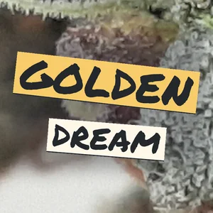 Golden Dream Cannabis Strain