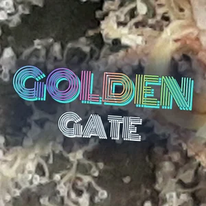 Golden Gate Cannabis Strain