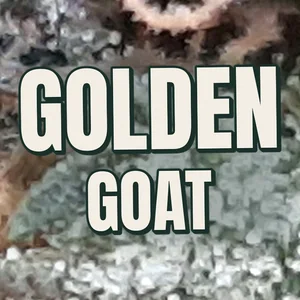 Golden Goat Cannabis Strain