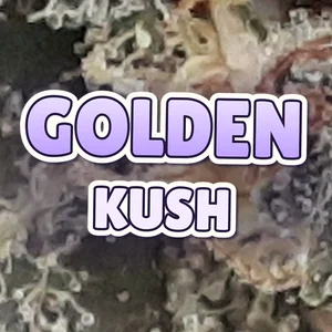 Golden Kush Cannabis Strain
