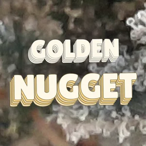 Golden Nugget Cannabis Strain