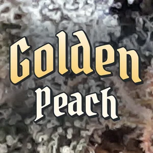 Golden Peach Cannabis Strain