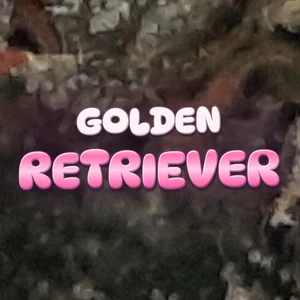 Golden Retriever Cannabis Strain