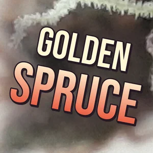Golden Spruce Cannabis Strain