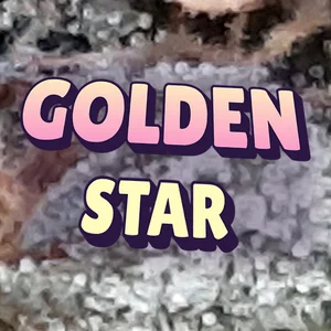 Golden Star Cannabis Strain
