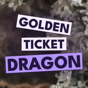 Golden Ticket Dragon Cannabis Strain