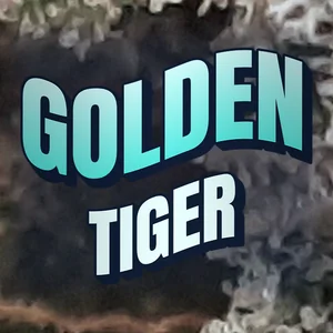 Golden Tiger Cannabis Strain