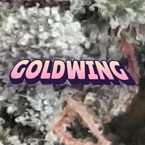 Goldwing Cannabis Strain