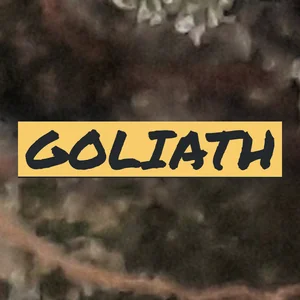 Goliath Cannabis Strain