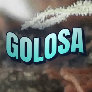 Golosa Cannabis Strain