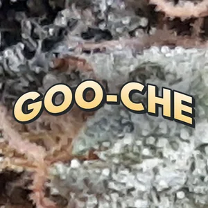 Goo-Che Cannabis Strain