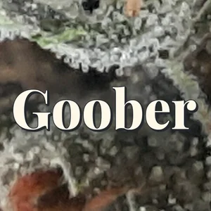 Goober Cannabis Strain