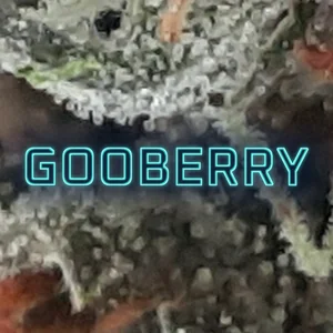 Gooberry Cannabis Strain