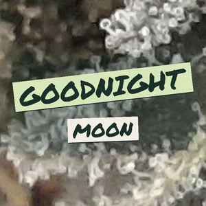 Goodnight Moon Cannabis Strain