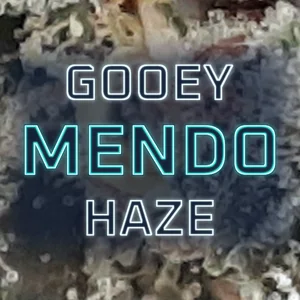 Gooey Mendo Haze Cannabis Strain