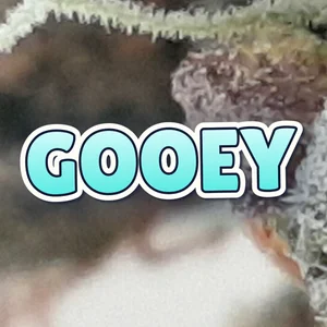 Gooey Cannabis Strain