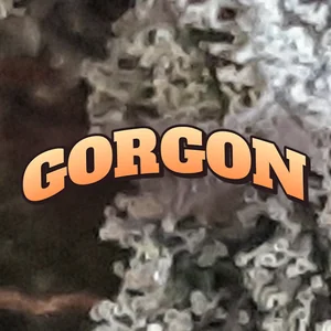 Gorgon Cannabis Strain