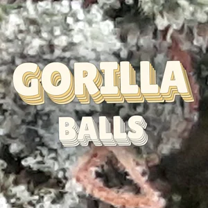 Gorilla Balls Cannabis Strain