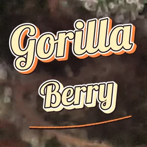 Gorilla Berry Cannabis Strain