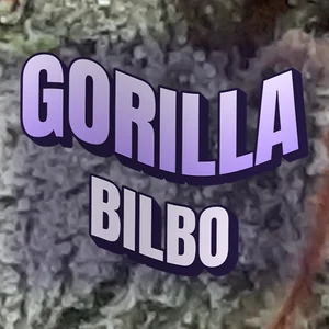 Gorilla Bilbo Cannabis Strain