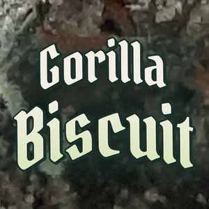 Gorilla Biscuit Cannabis Strain