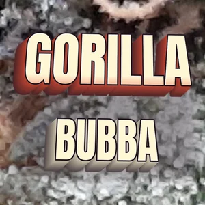 Gorilla Bubba Cannabis Strain
