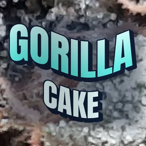 Gorilla Cake Cannabis Strain