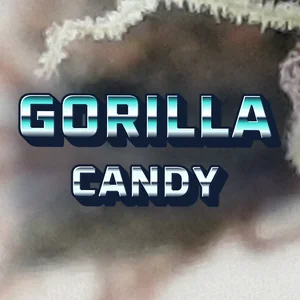 Gorilla Candy Cannabis Strain