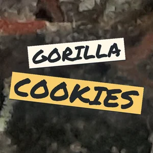 Gorilla Cookies Cannabis Strain