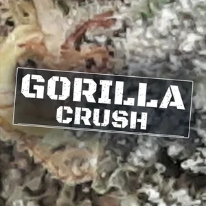 Gorilla Crush Cannabis Strain