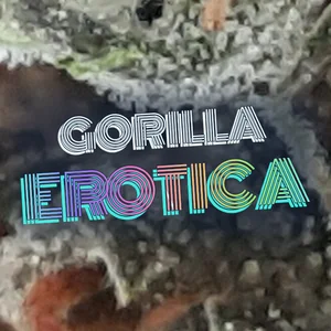 Gorilla Erotica Cannabis Strain