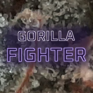 Gorilla Fighter Cannabis Strain
