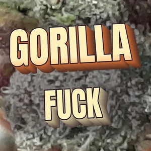 Gorilla Fuck Cannabis Strain