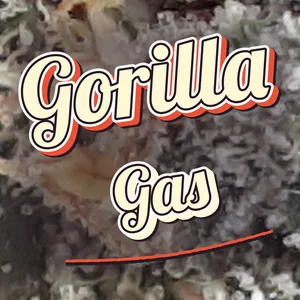 Gorilla Gas Cannabis Strain