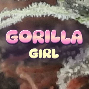 Gorilla Girl Cannabis Strain