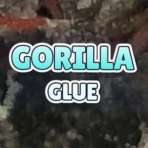 Gorilla Glue Cannabis Strain