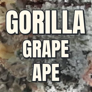 Gorilla Grape Ape Cannabis Strain