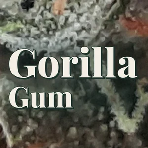 Gorilla Gum Cannabis Strain