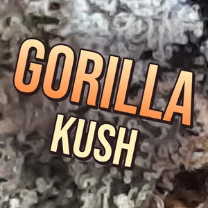 Gorilla Kush Cannabis Strain
