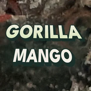 Gorilla Mango Cannabis Strain