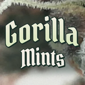 Gorilla Mints Cannabis Strain