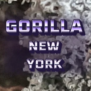 Gorilla New York Cannabis Strain